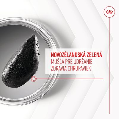 Novozélandská zelená mušla pre udržanie zdravia chrupaviek – text na obrázku vedľa detailu mušle v miske.