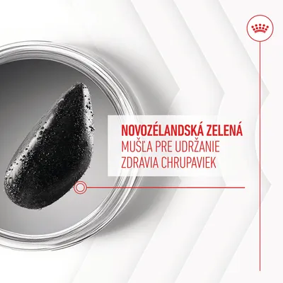 Novozélandská zelená mušla pre udržanie zdravia chrupaviek – text na obrázku vedľa detailu mušle v miske.
