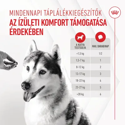 Mindennapi táplálékkiegészítők, az ízületi komfort támogatása érdekében. Etetési útmutató: testsúly és maximális darab/nap táblázat 1,5–28 kg felett 1/2–6 db-ig.