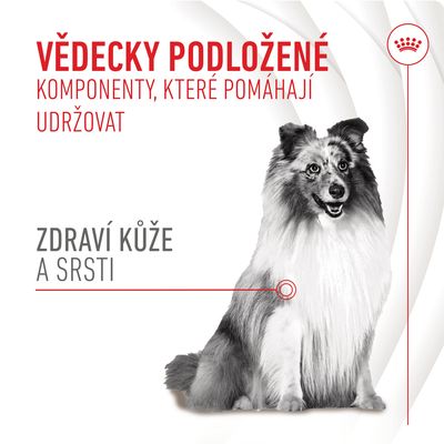 Vědecky podložené komponenty, které pomáhají udržovat zdraví kůže a srsti. Obrázek psa s textem zvýrazňujícím péči o kůži a srst.