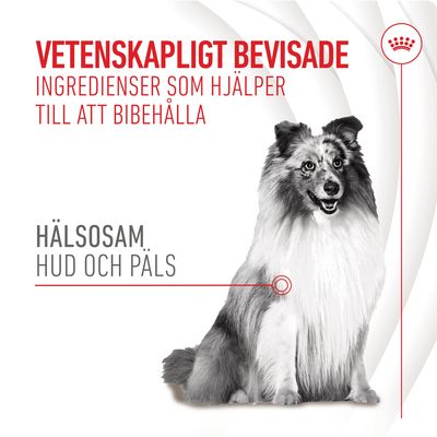 Vetenskapligt bevisade ingredienser som hjälper till att bibehålla hälsosam hud och päls. Bild på hund. Text och grafiska element synliga.