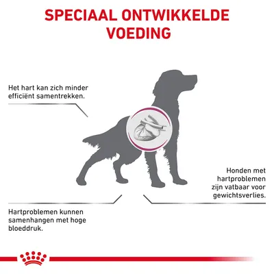 Speciaal ontwikkelde voeding. Het hart kan zich minder efficiënt samentrekken. Hartproblemen kunnen samenhangen met hoge bloeddruk. Honden met hartproblemen zijn vatbaar voor gewichtsverlies.