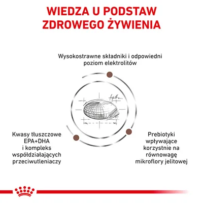 Wiedza u podstaw zdrowego żywienia: wysokostrawne składniki, odpowiedni poziom elektrolitów, kwasy tłuszczowe EPA+DHA, kompleks przeciwutleniaczy, prebiotyki dla mikroflory jelitowej.