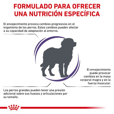 Formulado para ofrecer una nutrición específica. El envejecimiento provoca cambios en perros, afecta adaptación, masa corporal magra, fuerza muscular y presión en huesos y articulaciones.