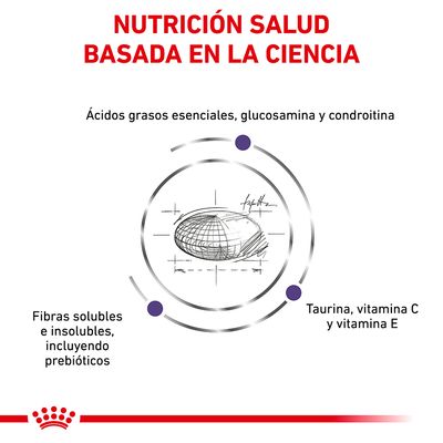 NUTRICIÓN SALUD BASADA EN LA CIENCIA. Ácidos grasos esenciales, glucosamina y condroitina. Fibras solubles e insolubles, incluyendo prebióticos. Taurina, vitamina C y vitamina E.