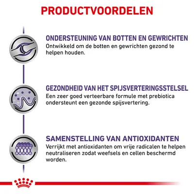Productvoordelen: ondersteuning van botten en gewrichten, gezondheid van het spijsverteringsstelsel, samenstelling van antioxidanten. Zie afbeelding voor volledige tekst.