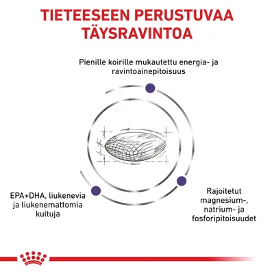 Tieteeseen perustuvaa täysravintoa. Pienille koirille mukautettu energia- ja ravintoainepitoisuus, EPA+DHA, liukenevia ja liukenemattomia kuituja, rajoitetut magnesium-, natrium- ja fosforipitoisuudet.