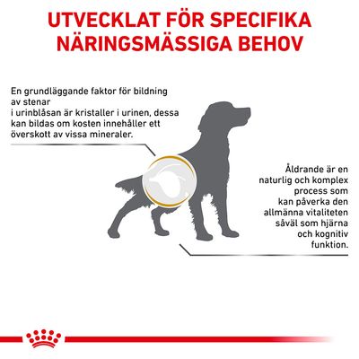Utvecklat för specifika näringsmässiga behov. Text: En grundläggande faktor för bildning av stenar i urinblåsan är kristaller i urinen. Åldrande påverkar vitalitet, hjärna och kognitiv funktion.