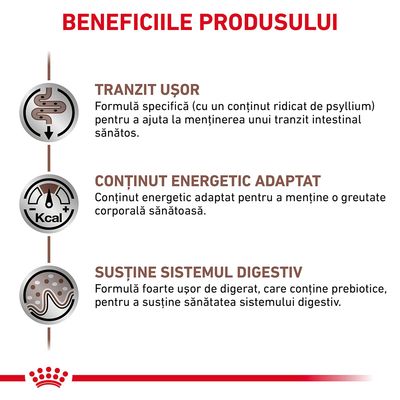 Beneficiile produsului: tranzit ușor, conținut energetic adaptat, susține sistemul digestiv. Include explicații despre fiecare beneficiu și simboluri grafice asociate.