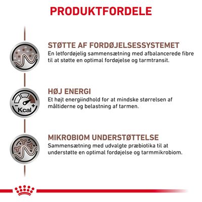 PRODUKTFORDELE: Støtte af fordøjelsessystemet, høj energi, mikrobiom understøttelse. Beskrivelser om letfordøjelige fibre, højt energiindhold og udvalgte præbiotika.