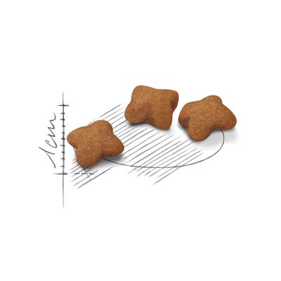 Три гранули с форма на звезда, показани до мащабна линия с означение 1 см за сравнение на размера.