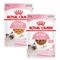Mix-Sparpaket Royal Canin Kitten 48 x 85 g Gelee & Soße