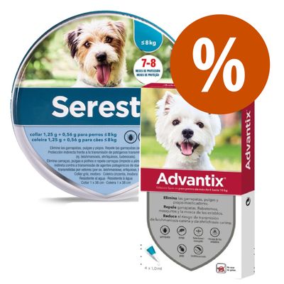 Pack de antiparasitarios: collar Seresto + pipetas Advantix para perros Collar 38 cm + pipetas 4-10 kg