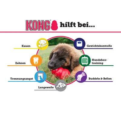 KONG hilft bei Kaubedarf, Zahnen, Trennungsangst, Langeweile, Gewichtskontrolle, Hundebox-Training sowie Buddeln und Bellen. Bild zeigt Hund mit rotem KONG-Spielzeug.