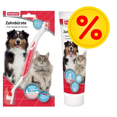 beaphar Zahnbürste Für Hunde & Katzen, tandbørste og tandpasta med billeder af hund og kat. Tekst: GRÜNDLICHE REINIGUNG, ERGONOMISCHER GRIFF, ZAHNSTEIN SCHUTZ, OHNE FLUORIDE MIT LEBER-GESCHMACK.
