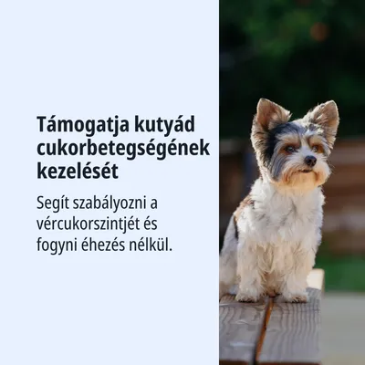 Támogatja a cukorbetegség kezelését kutyáknál. Segít szabályozni a vércukorszintet, és elősegíti a fogyást éhezés nélkül.