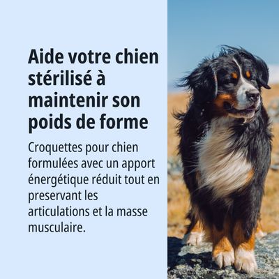 Aide les chiens stérilisés à maintenir leur poids idéal. Croquettes à teneur énergétique réduite pour préserver les articulations et la masse musculaire.