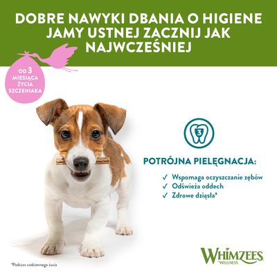 Dobre nawyki dbania o higienę jamy ustnej zacznij jak najwcześniej. Od 3 miesiąca życia szczeniaka. Potrójna pielęgnacja: wspomaga oczyszczanie zębów, odświeża oddech, zdrowe dziąsła. Whimzees Wellness.