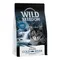 Wild Freedom Adult Cold River Sterilised, saumon pour chat - sans céréales 6,5 kg