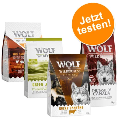 Vier Wolf of Wilderness Futtersorten, darunter Rocky Canyons und The Taste of Canada. Orange Kreis mit Text: Jetzt testen!
