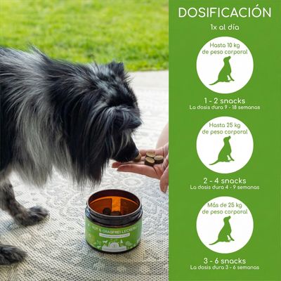 Wolfsbacher Natur Leckerli Digestión saludable y sin hierba - 300 g