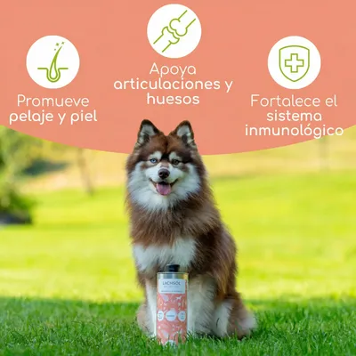 Aceite de salmón Wolfsbacher Natur para perros - 1 litro