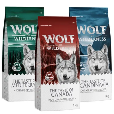 Три упаковки корма Wolf of Wilderness: The Taste of Mediterranean, The Taste of Canada, The Taste of Scandinavia, 1 кг, надпись '100% grain-free recipe' на каждой упаковке.