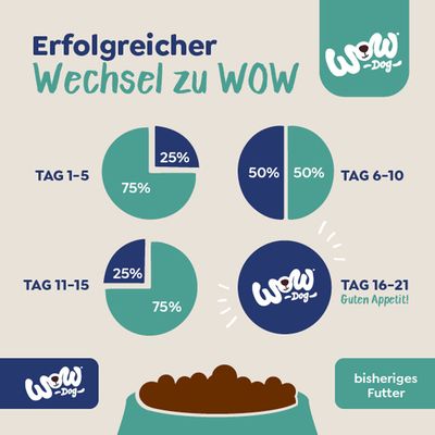Tableau de transition alimentaire vers WOW Dog en 21 jours : parts de 25 %, 50 %, 75 % et 100 % sur 4 périodes, texte en allemand. Marque WOW Dog visible.