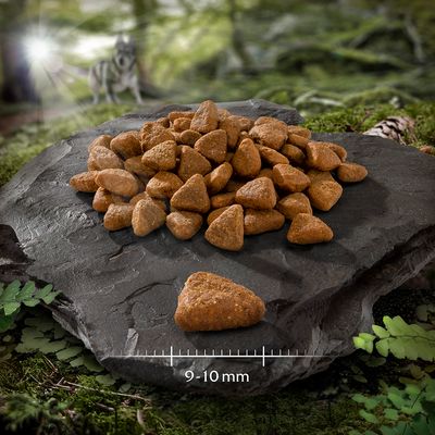 Wolf of Wilderness Free Range hundefôr: Velg mellom tørrfôr eller våtfôr