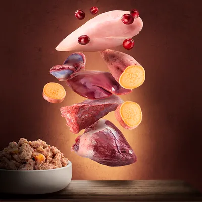 Ingredientes: pechuga de pollo, batatas, corazón de res, hígado, corazón de pavo y arándanos sobre un cuenco con comida húmeda.