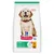 Hill's Science Plan Puppy <1 Large, kurczak