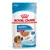 Royal Canin Medium Puppy Wet Food, 140 g, for 2–12 months, adult weight 11–25 kg, in gravy, free from preservatives, image of a puppy on the packaging. Royal Canin Medium Puppy Wet Food, 140 g, for 2–12 months, adult weight 11–25 kg, in gravy, free from preservatives, image of a puppy on the packaging.