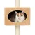 Beige cat cave with oval opening, mounted on a sisal scratching post. White and orange cat sitting inside the cave.