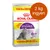 Royal Canin Sensible 33 macskaeledel, 10 kg + 2 kg ingyen csomagolás, lila és sárga feliratokkal, szürke macskával a csomagon