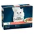 Country Medley Mini Fillets in Jelly, 12 x 85g. Includes with turkey, duck, game, and trout. Product packaging shows fillets on a plate.