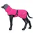 Rukka hundejakke i pink med justerbart bælte og grå krave, vist på sort hundemannequin.