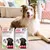Dog sitting beside two boxes of FIPROtec Combo, which state they kill fleas, ticks and biting lice, prevent flea multiplication, and are for dogs over 20-40 kg.