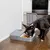 PetSafe Futterautomat mit grauem Design, Hund frisst aus einer der geöffneten Fächer. Automatische Fütterung sichtbar.