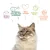 Reines Futter, perfektes Eiweiss-Fett-Verhältnis, Tierschutz, bessere Welt, glückliche gesunde Katzen. Illustration mit Katze und Symbolen.