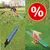 Set med 3 st Trixie Dog Activity Agility tillbehör till sparpris! - Balanshinder + gungbräda + tunnel Set med 3 st Trixie Dog Activity Agility tillbehör till sparpris! - Balanshinder + gungbräda + tunnel