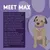 Text describes Max, a senior Border Terrier who enjoys walks and Burgess Sensitive food for his sensitive tummy. Includes routine, social habits, and preference for this kibble.