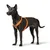 Zwarte hond draagt een oranje tuigje met verstelbare banden en gespen. Product toont de pasvorm van het tuigje op het dier.