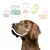 Reines Futter, perfektes Eiweiss-Fett-Verhältnis, Tierschutz, bessere Welt, glückliche gesunde Hunde. Hund mit grafischen Symbolen und Text.