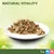Natural Vitality. Rappresentato: bocconcini in salsa su un piatto bianco. Adatto per gatti e cani da 1 anno.