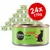 Cosma Pure Love Salmon in Jelly, single protein pure fish, 24x170g tins shown. Green label with black cat silhouette and red salmon icon visible.