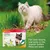 Beaphar VETOpure spot-on for cats with margosa extract, repels fleas. Text: For best results, use early in the season before fleas are seen.