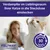 Feliway Optimum Verdampfer in den Lieblingsraum der Katze stecken. Dauer: 30 Tage.