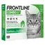 Frontline Combo Spot-On Kat - Dubbelpak: 2 x 6 pipetten