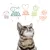 Pure food, perfect protein and fat balance, care for all animals, for a better planet, happy and healthy cats. Text with icons above a cat.