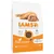 Sac de croquettes IAMS pour chaton, 1–12 mois, 10 kg, riche en poulet frais, 91 % protéines animales, sans blé, texte en anglais sur l’emballage.